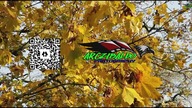 2020 | ATENY - GRECJA |