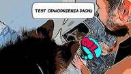 Ciąg dalszy układania kostki brukowej Arkadia