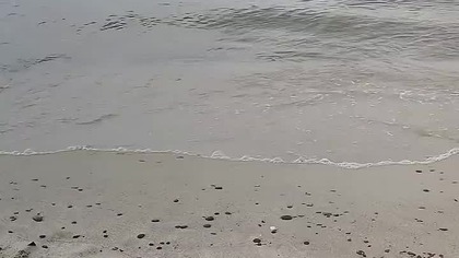 Late Autumn Baltic Shore  Steady Wave Sound