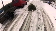 Chcesz się pozbyć choinki? Oto najciekawsze sposoby...