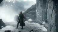Hobbit Tauriel tribute - Warrior