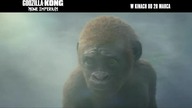 Godzilla i Kong: Nowe Imperium - W kinach od 28 marca