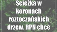 Ścieżka w koronach roztoczańskich drzew.  RPN chce zbudować coś takiego
