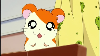 Hamtaro 01 - Wielkie przygody małych chomik&oacute;w!