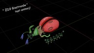 ŻD9 Biestronów - test animacji