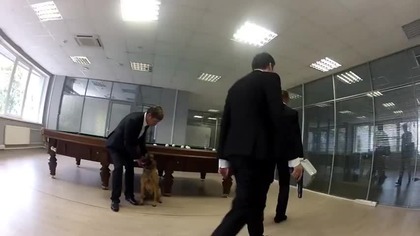 Typowy dzień w rosyjskim biurowcu