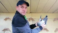 HDGP-MICHAŁ FUS Prezentacja gołębi młodych 02. 05. 2020 r.