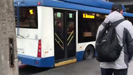 Niecodzienny pasażer komunikacji miejskiej