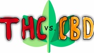 THC vs.  CBD: Co znajduje się w marihuanie?