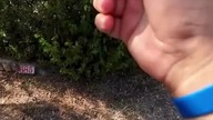 Basen na kempingu w Toskanii