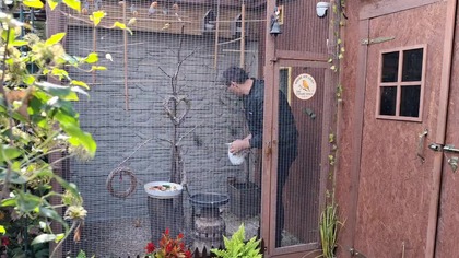 Jesień w ogrodzie i marchewka dla zwierzaków * W Garden kuRaż 498