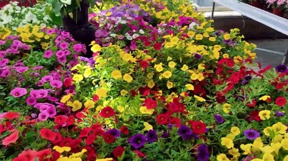 Dwadzieścia lat a może mniej / COVER - Gracjan Roztocki