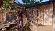 W Garden kuRaż * Kuna znów atakuje * Papugi z odgryzionymi nogami