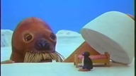 Pingu (Odcinek 24) - Sen Pingu