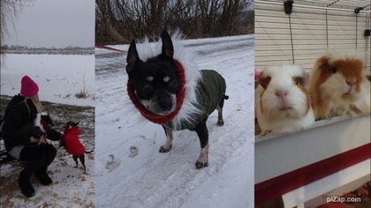 Jedziemy na plażę zimą 