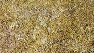 Po Co Żyć Skoro Wszyscy Umierają