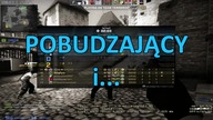 POBUDZAJĄCY KOT - CS GO Nostalgia & Śmieszne Momenty #2