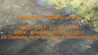 Polowanie na zwierza 2
