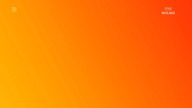 TVPWILNO - 19-04-2025 - Ogłoszenie nadawcy, Identy, Ogłoszenie społeczne