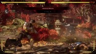 Mk 11 pl ps4 Transmisja na żywo ,live ,o1 ,05,2020