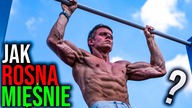 Jak Rosną Mięśnie? | Hipertrofia WYJAŚNIONA!