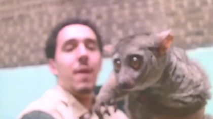 Kurious - Uptown Hit