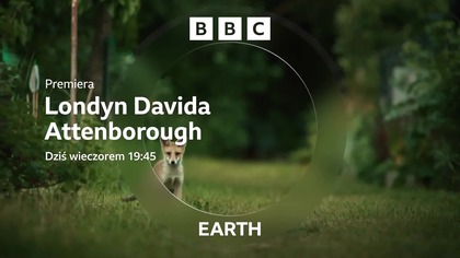 BBC Earth - Zapowiedź, ident i ozdobnik (100-letnie urodziny sir Davida Attenborougha) (08. 05. 2026)