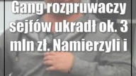 Gang rozpruwaczy sejfów ukradł ok.  3 mln zł.  Namierzyli ich w Holandii
