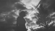 SCHMERZ - Ecdysis