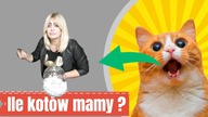 [#at20k3] #KONKURS! Ile sztuk kota? &middot; Rozwiązany! :)