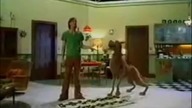 Co wy wiecie o 2002?