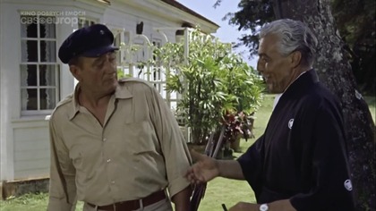 Rafa Donovana.  Donovans Reef . 1963.  Lektor.pl. western