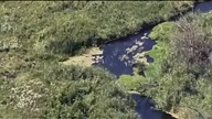 Wojna rosja-ukraina Rosjanin opala sie na plaży 