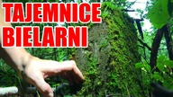 GOLIŃSK/MIEROSZÓW-TAJEMNICE PIWNIC BIELARNI WALZEL