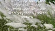 Święty czy odświętny?