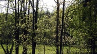 Powiew / A breeze