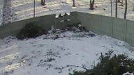 Każda akcja powoduje reakcję