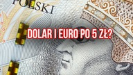 Dolar, euro, frank - wszystko po 5 złotych?