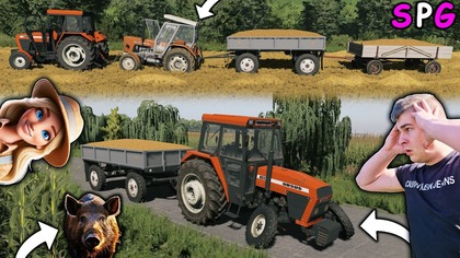 WIKA UDERZYŁA W DZIKA WYBIEGŁ JEJ POD KOŁA URSUSA NOWY CIĄGNIK ZNISZCZONY SPG 71