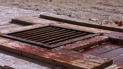 Film opowiada historię psa, Rottweilera, który będąc szczeniakiem został ciężko pobity i przeszedł ciężką operację. Wszczepiono mu metalowe kości. Teraz pies ma zamiar zemścić się na swoich oprawcach i zabija każdego, kto będzie chciał go powstrzymać. 