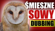 ŚMIESZNE SOWY  DUBBING: MATT OLECH