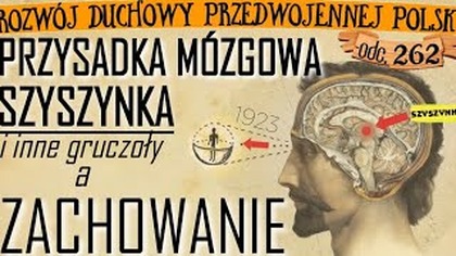 [262] Wpływ szyszynki i innych gruczołów na rozwój i postawę (1923) J. R