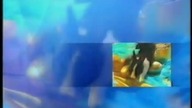 Tomek Archiwum VHS # Polsat jingiel reklamowy (Wielkanoc 2002) # cT3iIXEqVBw