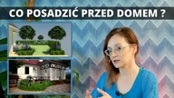5 wskazowek jak urzadzic OGRÓD przed DOMEM.  Co posadzić przed domem?