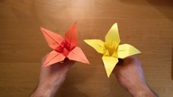 ORIGAMI IRYS - kwiat
