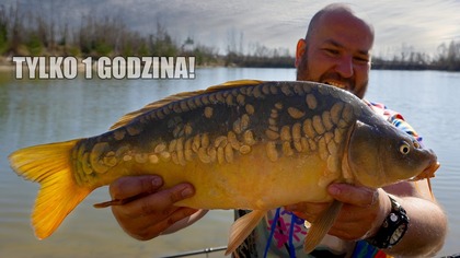 Karpie brały tylko przez godzinę trafiliśmy idealny moment