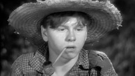 Przygody Huckleberry Finna 1939 napisy.pl