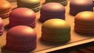 I Master Macarrons Meme Compilation 2 (Ladybird Lu)
