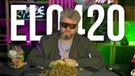 KOŃCZĘ Z MUZYKĄ Promomix ELO420