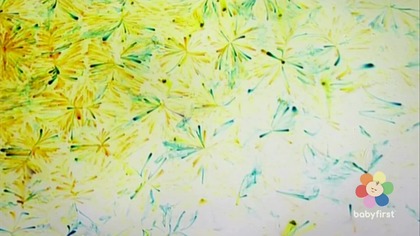 Baby First TV - Plansza rekreacyjna (11. 04. 2026, 10:18)